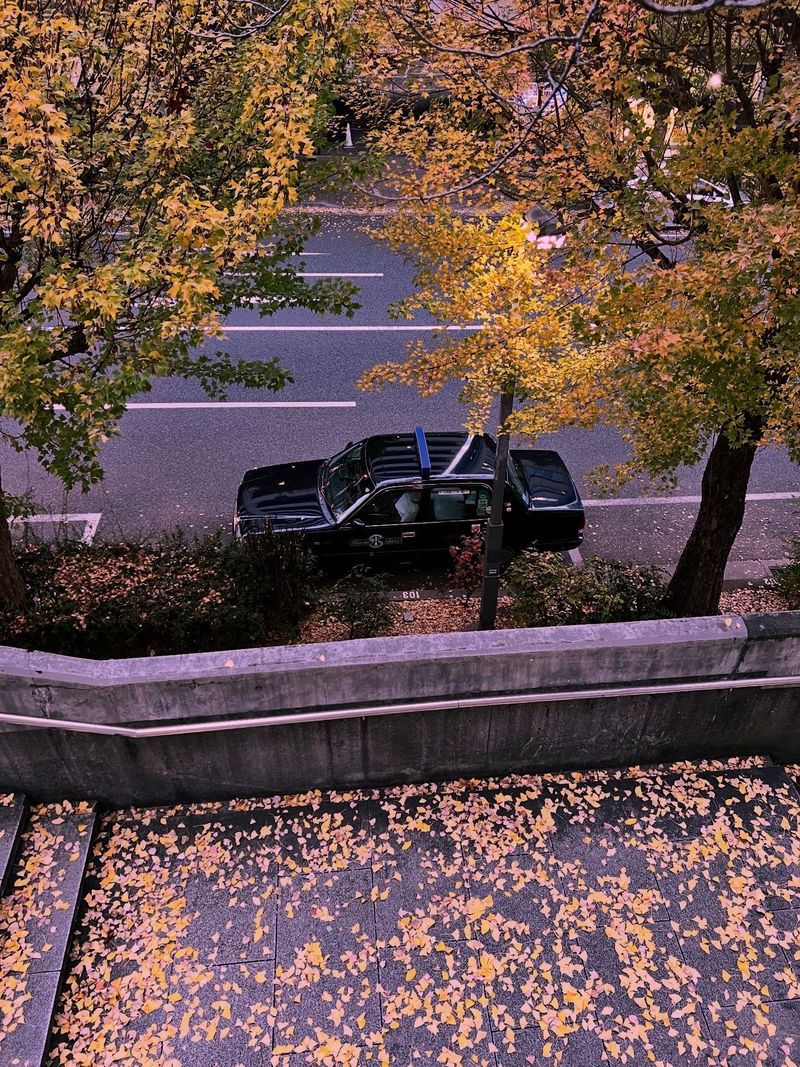 A dark car parked beneath autumn trees beside a residential driveway