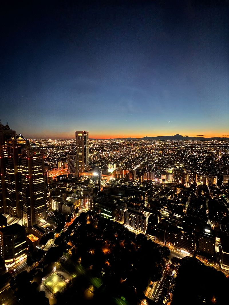 The Tokyo skyline glowing at night from high above the city
